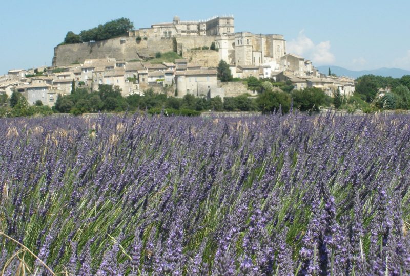Le Provençal à Châteauneuf-du-Rhône - 3