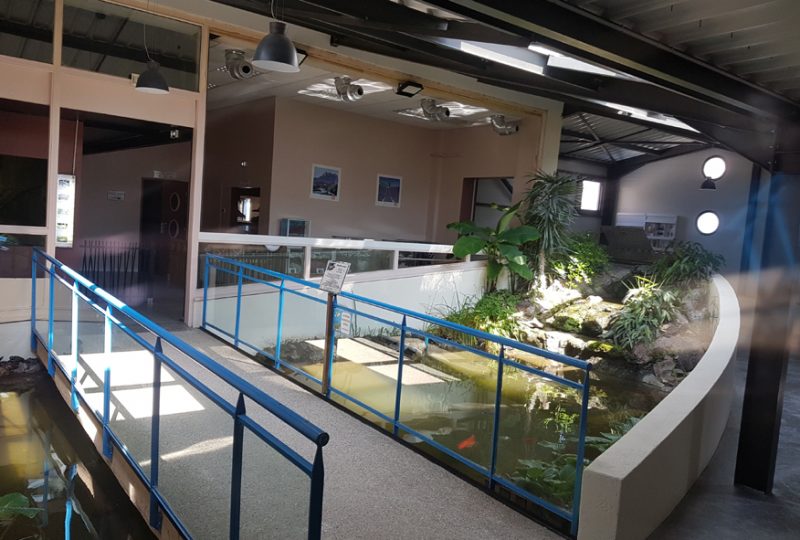 Aquarium des Tropiques à Allex - 2