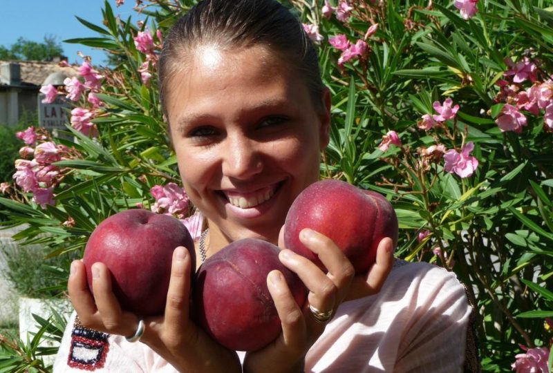 Apricots-Peaches-Nectarines Sylvie Guichard à Châteauneuf-du-Rhône - 0